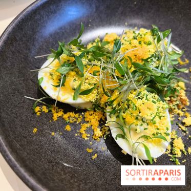 Argile - Oeufs mimosa, poutargue