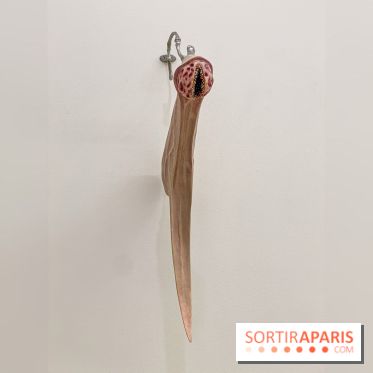 Clear History : l'exposition gratuite d'Oli Epp à la galerie Perrotin - IMG 2709