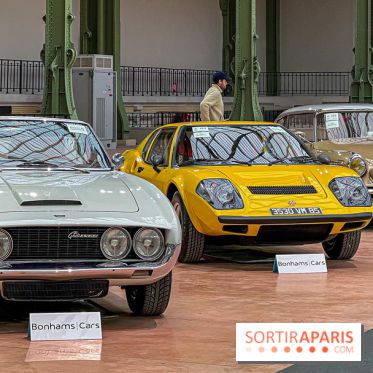Bonhams I Cars au Grand Palais : exposition de voitures d'exception - IMG 1139 jpg