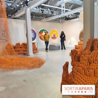 Chaosmos : une expo gratuite qui interroge notre place dans l'univers au Maif Social Club - photos