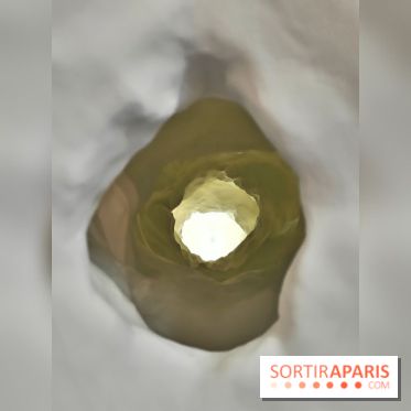 Chaosmos : une expo gratuite qui interroge notre place dans l'univers au Maif Social Club - photos - fotor 1738750083255