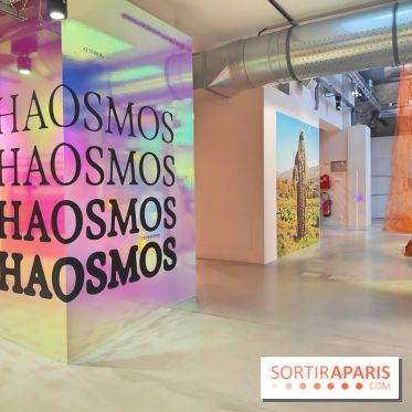 Chaosmos : une expo gratuite qui interroge notre place dans l'univers au Maif Social Club - photos - fotor 1738750058916