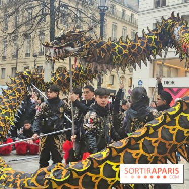 Défilé du Nouvel An Lunaire-Chinois Faubourg Saint-Honoré  - fotor 1738762237324