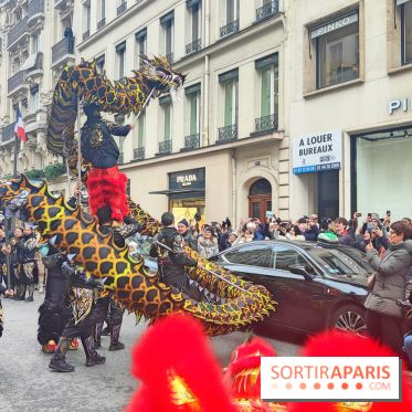 Défilé du Nouvel An Lunaire-Chinois Faubourg Saint-Honoré  - fotor 1738762111496