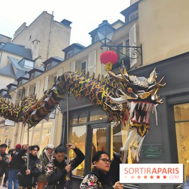 Défilé du Nouvel An Lunaire-Chinois Faubourg Saint-Honoré  - fotor 1738762018278