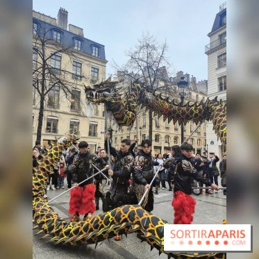 Défilé du Nouvel An Lunaire-Chinois Faubourg Saint-Honoré  - IMG20250205131127