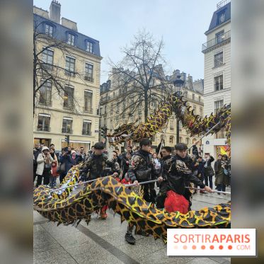 Défilé du Nouvel An Lunaire-Chinois Faubourg Saint-Honoré  - IMG20250205131128