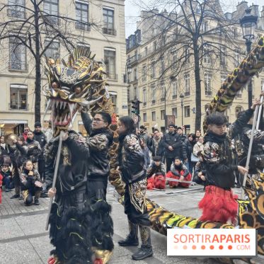 Défilé du Nouvel An Lunaire-Chinois Faubourg Saint-Honoré  - IMG20250205131025