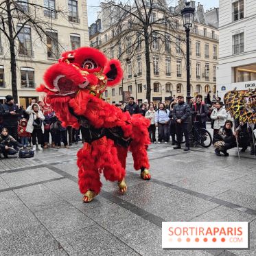 Défilé du Nouvel An Lunaire-Chinois Faubourg Saint-Honoré  - IMG20250205130728
