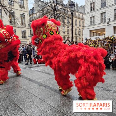 Défilé du Nouvel An Lunaire-Chinois Faubourg Saint-Honoré  - IMG20250205130635