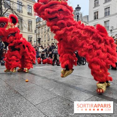Défilé du Nouvel An Lunaire-Chinois Faubourg Saint-Honoré  - IMG20250205130539