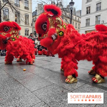 Défilé du Nouvel An Lunaire-Chinois Faubourg Saint-Honoré  - IMG20250205130537