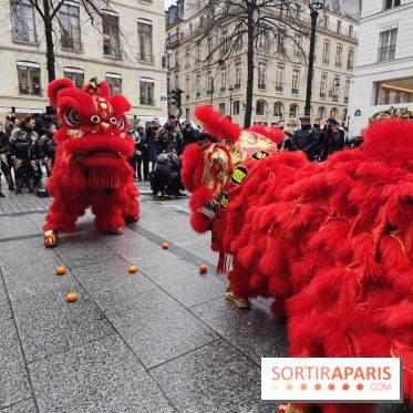 Défilé du Nouvel An Lunaire-Chinois Faubourg Saint-Honoré  - IMG20250205130438