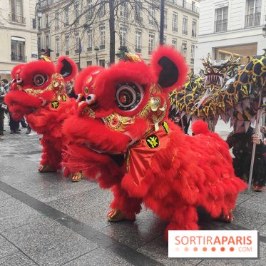 Défilé du Nouvel An Lunaire-Chinois Faubourg Saint-Honoré  - IMG20250205130401