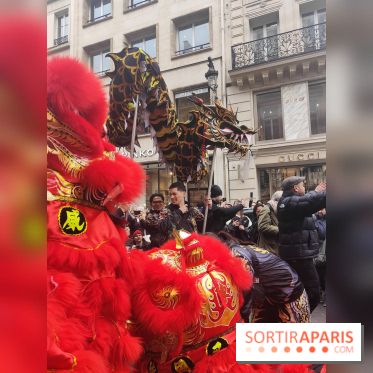 Défilé du Nouvel An Lunaire-Chinois Faubourg Saint-Honoré  - IMG20250205125902
