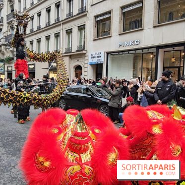 Défilé du Nouvel An Lunaire-Chinois Faubourg Saint-Honoré  - IMG20250205125818