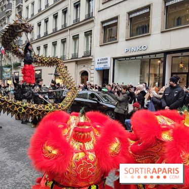Défilé du Nouvel An Lunaire-Chinois Faubourg Saint-Honoré  - IMG20250205125819