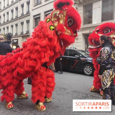 Défilé du Nouvel An Lunaire-Chinois Faubourg Saint-Honoré  - IMG20250205125629