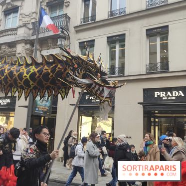 Défilé du Nouvel An Lunaire-Chinois Faubourg Saint-Honoré  - IMG20250205125557