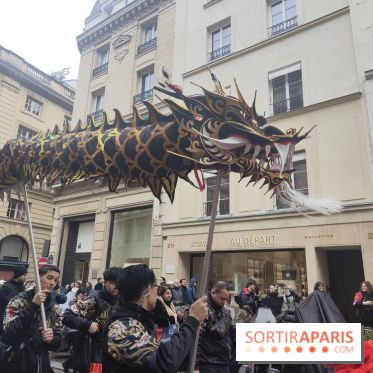 Défilé du Nouvel An Lunaire-Chinois Faubourg Saint-Honoré  - IMG20250205125503
