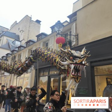 Défilé du Nouvel An Lunaire-Chinois Faubourg Saint-Honoré  - IMG20250205125051