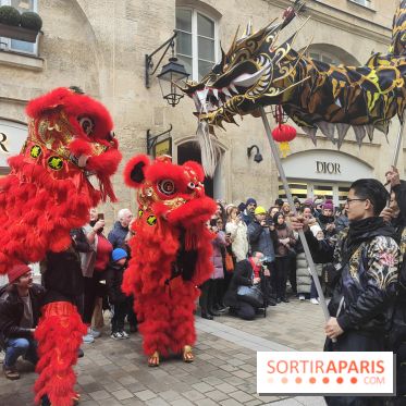 Défilé du Nouvel An Lunaire-Chinois Faubourg Saint-Honoré  - IMG20250205125006
