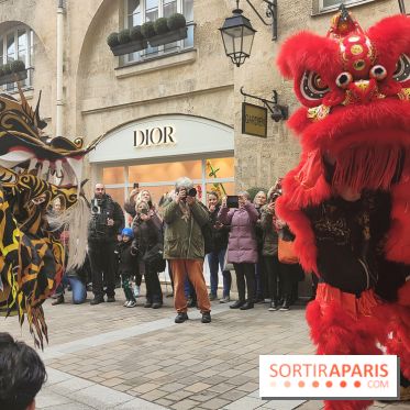 Défilé du Nouvel An Lunaire-Chinois Faubourg Saint-Honoré  - IMG20250205124849