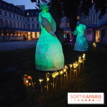 Exposition Silva Lumina au Centre Culturel Irlandais