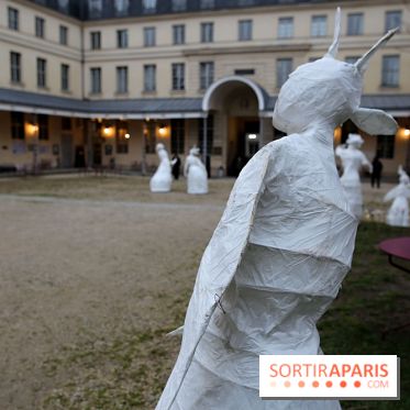 Exposition Silva Lumina au Centre Culturel Irlandais  - Silva Lumina 2