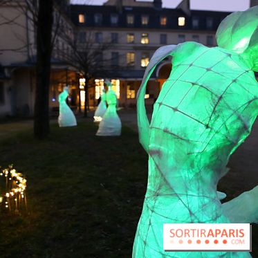 Exposition Silva Lumina au Centre Culturel Irlandais  - Silva Lumina 5