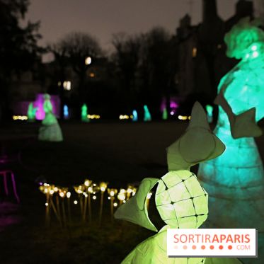 Exposition Silva Lumina au Centre Culturel Irlandais  - Silva Lumina 8