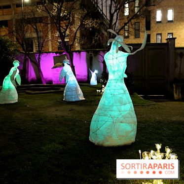 Exposition Silva Lumina au Centre Culturel Irlandais  - Silva Lumina 11