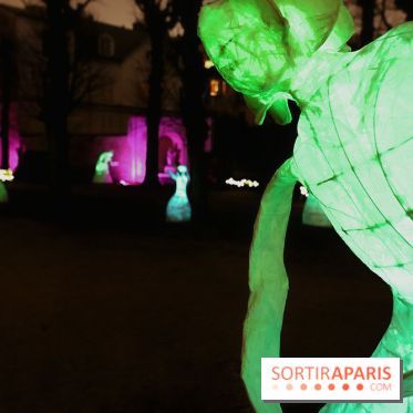 Exposition Silva Lumina au Centre Culturel Irlandais  - Silva Lumina 12