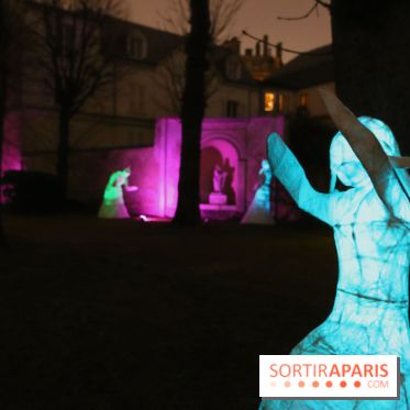 Exposition Silva Lumina au Centre Culturel Irlandais  - Silva Lumina 13