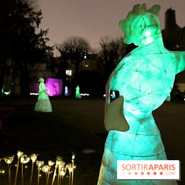 Exposition Silva Lumina au Centre Culturel Irlandais  - Silva Lumina 14