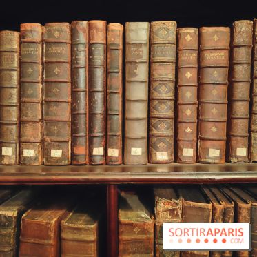 Centre Culturel Irlandais et sa bibliothèque