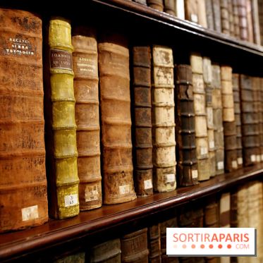 Centre Culturel Irlandais et sa bibliothèque