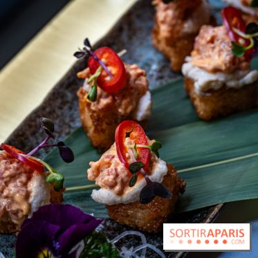 Hokusai - restaurant japonais fusion - Paris 16e - les photos  -  Crujiente de thon epicé: