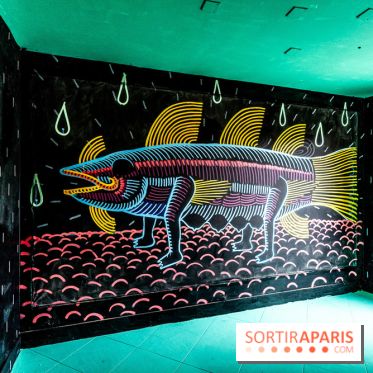 Colors Festival 2025 à Champigny spécial Amérique Latine