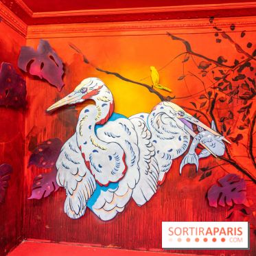 Colors Festival 2025 à Champigny spécial Amérique Latine -  A7C1229