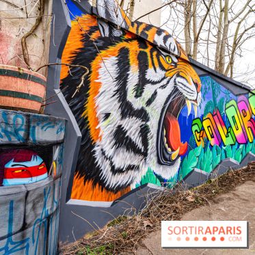 Colors Festival 2025 à Champigny spécial Amérique Latine