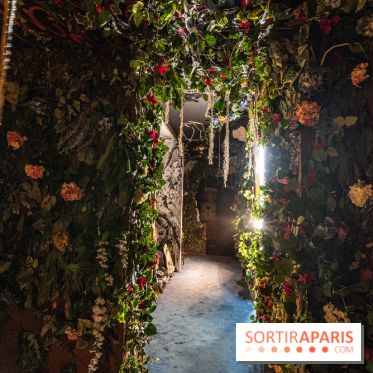 Colors Festival 2025 à Champigny spécial Amérique Latine -  A7C1279