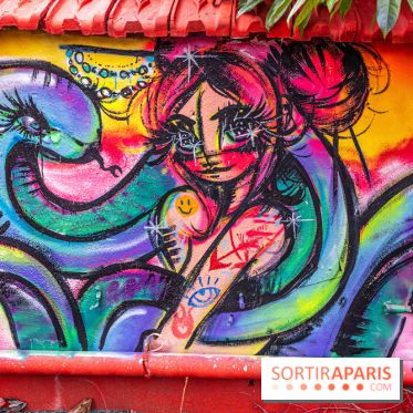 Colors Festival 2025 à Champigny spécial Amérique Latine -  A7C1253