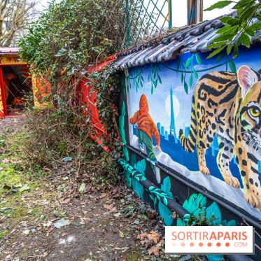 Colors Festival 2025 à Champigny spécial Amérique Latine -  A7C1258