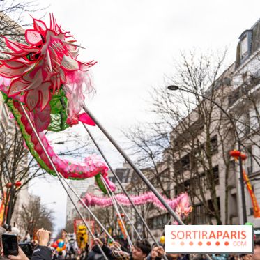 Défilé du Nouvel an Lunaire - Chinois 2025 Paris 13e - les photos