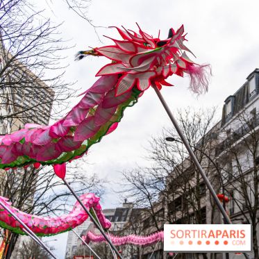 Défilé du Nouvel an Lunaire - Chinois 2025 Paris 13e - les photos