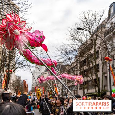 Défilé du Nouvel an Lunaire - Chinois 2025 Paris 13e - les photos