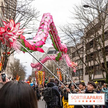 Défilé du Nouvel an Lunaire - Chinois 2025 Paris 13e - les photos