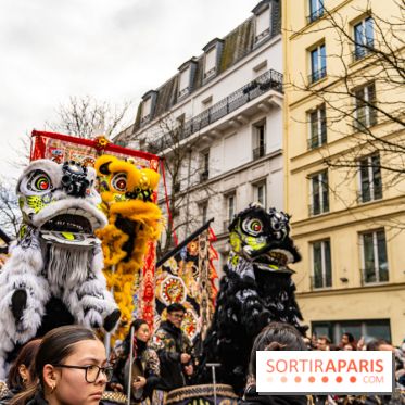 Défilé du Nouvel an Lunaire - Chinois 2025 Paris 13e - les photos