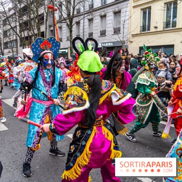 Défilé du Nouvel an Lunaire - Chinois 2025 Paris 13e - les photos